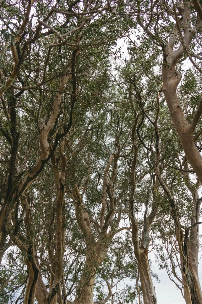 camara-estancia-del-pilar-121