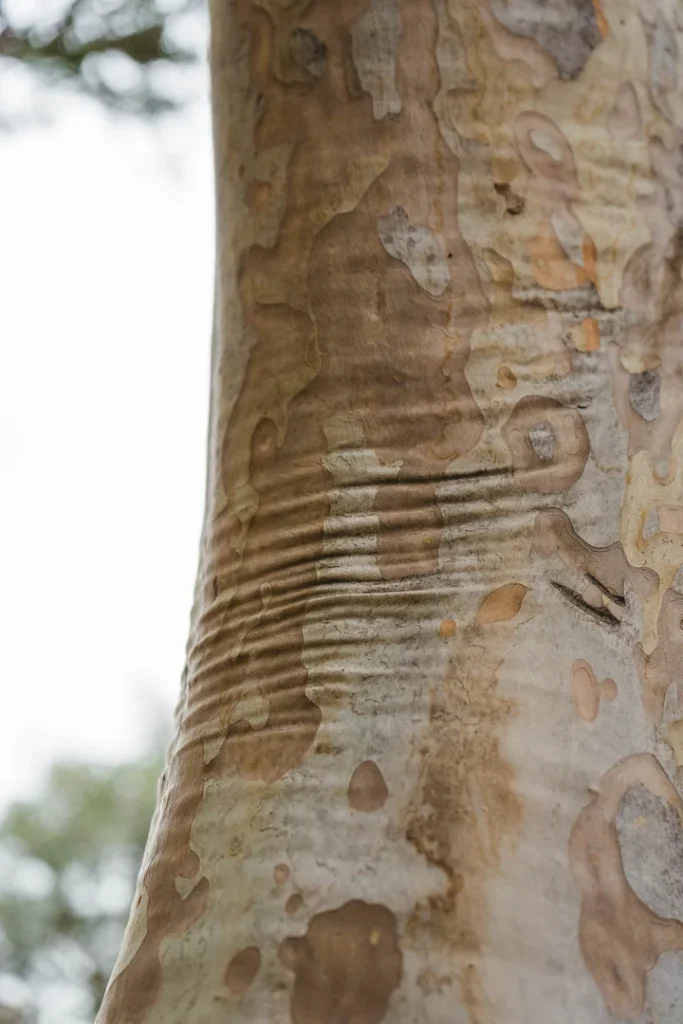 camara-estancia-del-pilar-122