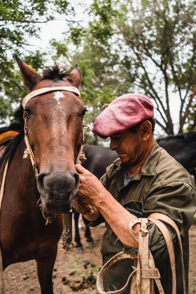 camara-estancia-del-pilar-76