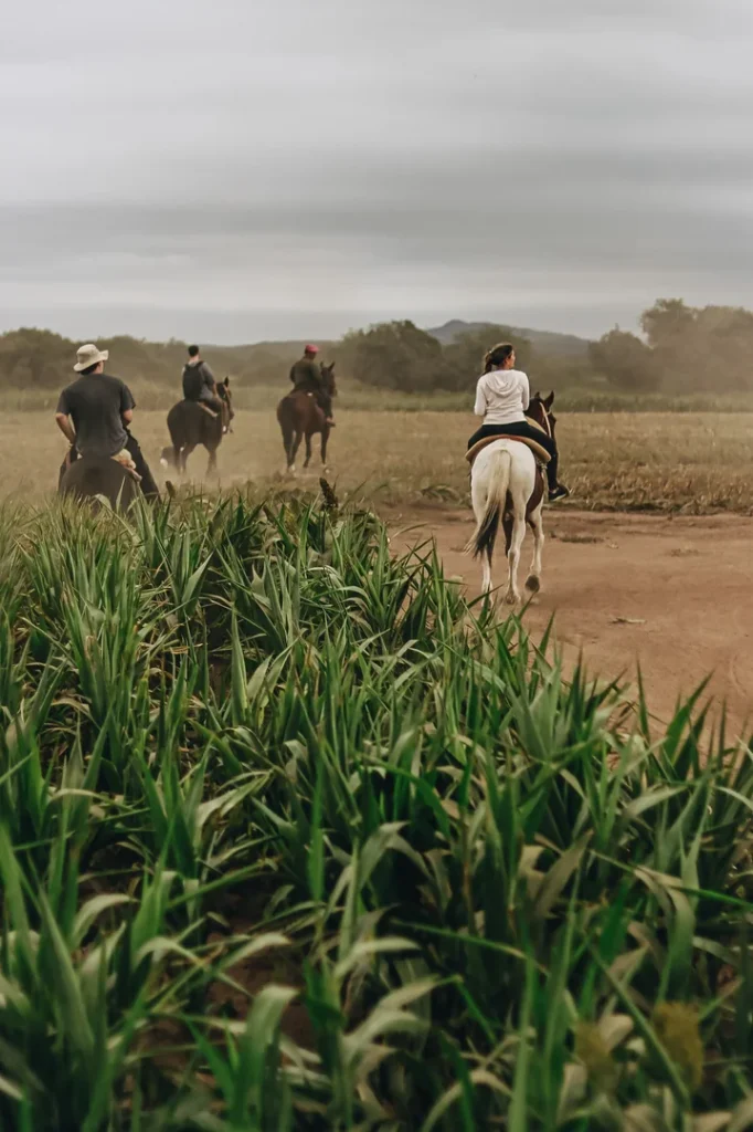 foto-estancia-del-pilar-351