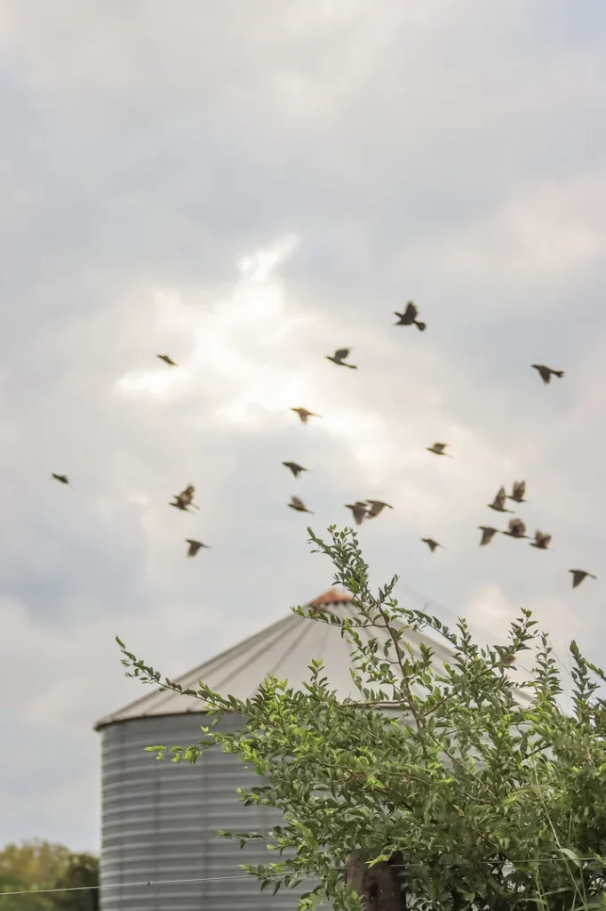 foto-estancia-del-pilar-366