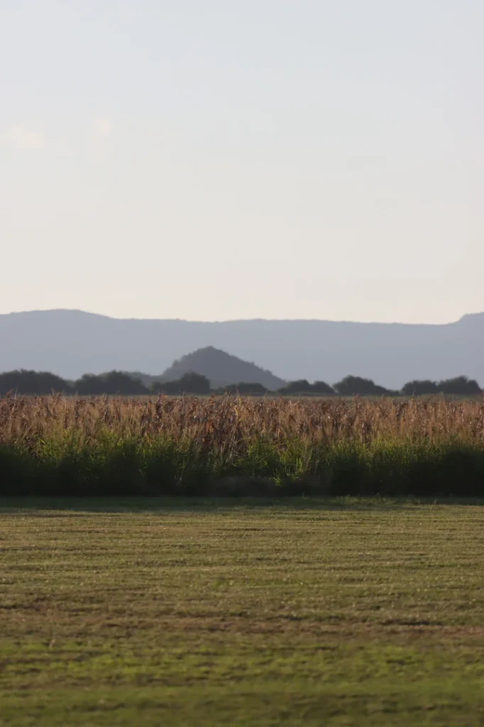 foto-estancia-del-pilar-368