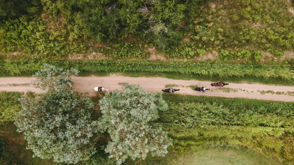 vista-aerea-estancia-del-pilar-12