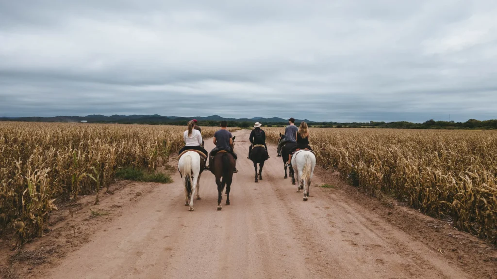 vista-aerea-estancia-del-pilar-17