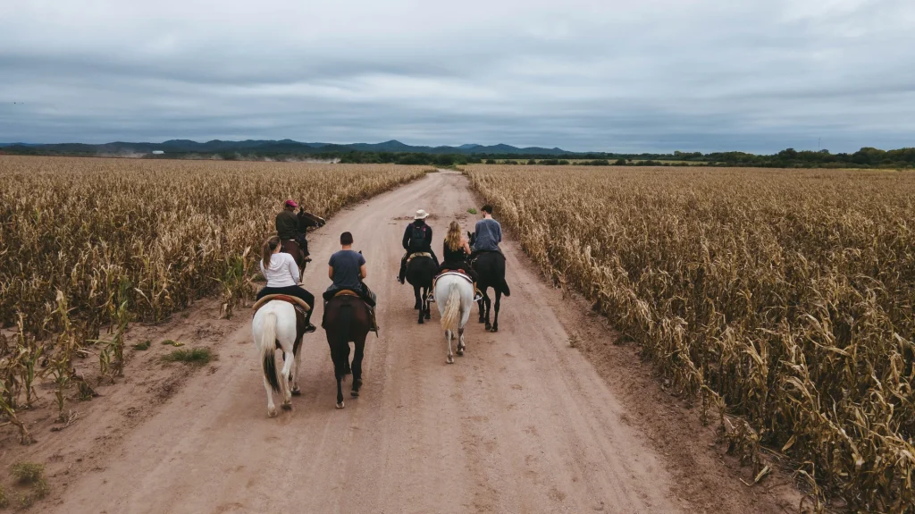 vista-aerea-estancia-del-pilar-18