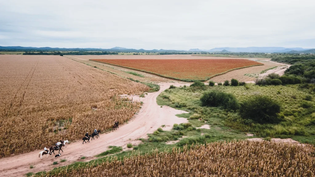 vista-aerea-estancia-del-pilar-22