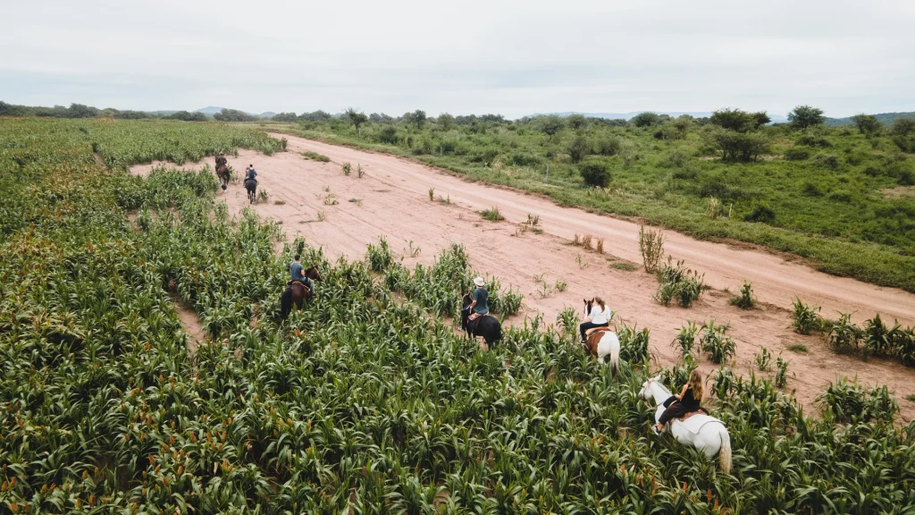 vista-aerea-estancia-del-pilar-24