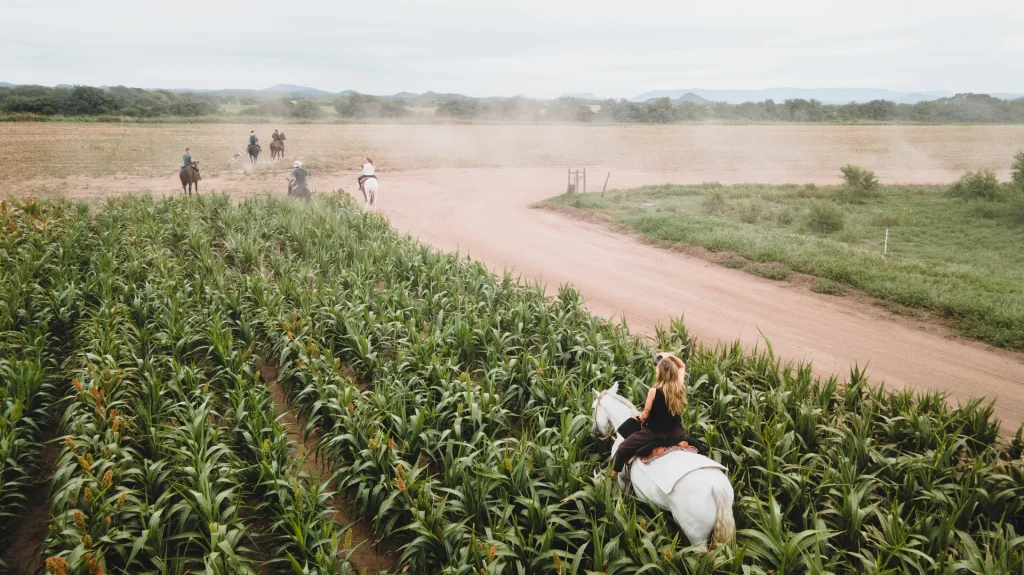 vista-aerea-estancia-del-pilar-26