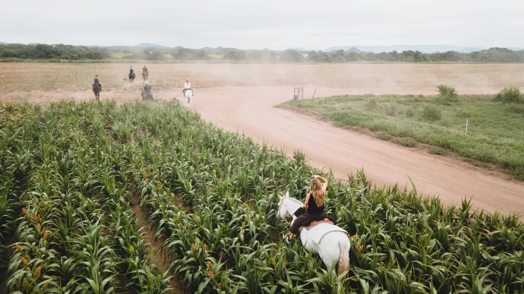 vista-aerea-estancia-del-pilar-27